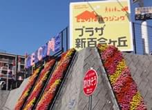 tvkハウジングプラザ新百合ヶ丘｜神奈川県の輸入住宅ガイド
